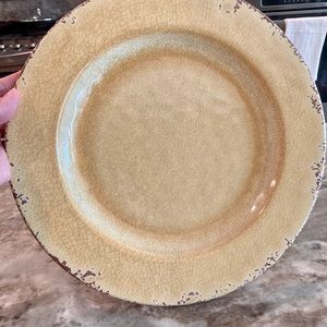 Williams Sonoma Rustic Outdoor Melamine Dinner Plates, Set of 4